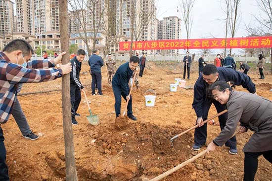 八步区四家班子领导开展义务植树和水利设施建设活动